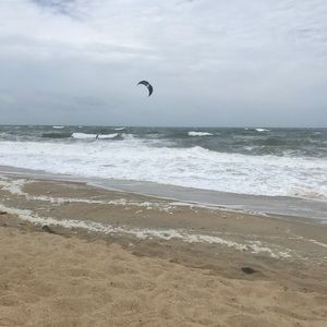 Meet your Posher, Danette